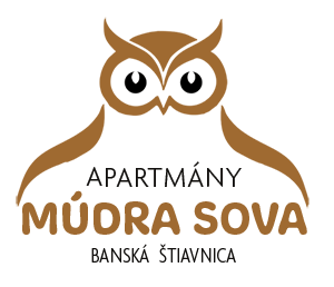 mudra sova logo
